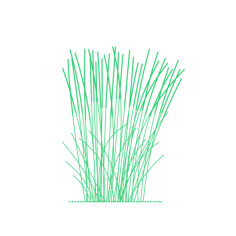 Plants Grasses Reed Grass Pinterest 1 Stencil Svg Design File, Free Vectors File
